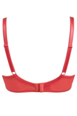 Rebel Underwired Plunge Bra - Coral 9 Rebel Underwired Plunge Bra - Coral -Sultry Curve 282455 20220413122400