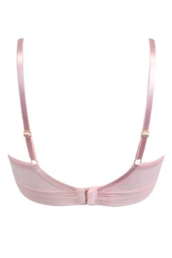 Revolution Contour Lightly Padded Bra - Soft Pink 11 Revolution Contour Lightly Padded Bra - Soft Pink -Sultry Curve 284204 20220426134100