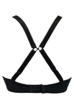 Reflection Non Wired Padded Push Up Bra - Black -Sultry Curve 285322 20220504123400