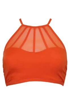 Space High Neck U/W Cami Top - Orange -Sultry Curve 286394 20220930095200