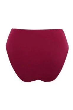 Space High Leg Bottom - Dark Red 13 Space High Leg Bottom - Dark Red -Sultry Curve 286407 20220923125600