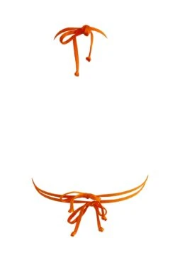 India Recycled Triangle Bikini Top - Orange -Sultry Curve 287565 20220927120600