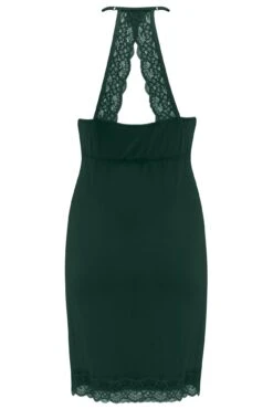 Sofa Loves Lace Sheer Panel Removable Cup Chemise - Forest -Sultry Curve 290821 20220906110700