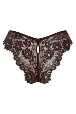 India Eyelash Lace V Brief - Chocolate -Sultry Curve 292258 20220928134600
