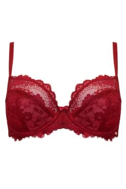 India Eyelash Lace Underwired Bra - Red -Sultry Curve 293166 20220824134400