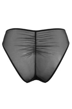 Manhattan High Leg - Black -Sultry Curve 293177 20221111122400