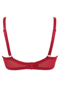 Amour Non Padded Bra - Red/Cherry 13 Amour Non Padded Bra - Red/Cherry -Sultry Curve 295945 20221111133400