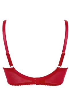 Amour Padded Balconette Bra - Red/Cherry 11 Amour Padded Balconette Bra - Red/Cherry -Sultry Curve 296364 20221011130600