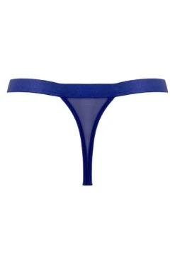 India Embroidery Thong - Blue -Sultry Curve 296419 20221118153500