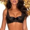 Laced In Gold Demi Padded Bra - Black/Gold -Sultry Curve 297567 20220927170100
