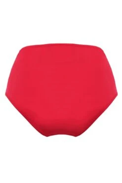 Santa Cruz Super High Waist Brief - Red -Sultry Curve 298359 20230328140600