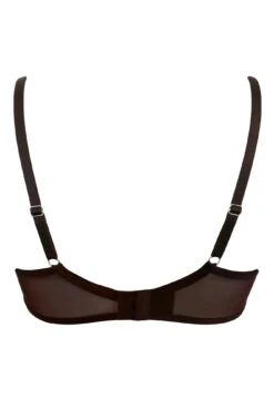 Viva Luxe Set - Chocolate -Sultry Curve 298509 20221013142000