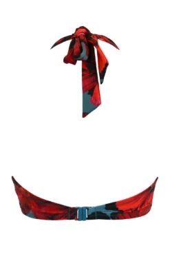Orchid Luxe Halter Lightly Padded Underwired Top - Red/Teal 15 Orchid Luxe Halter Lightly Padded Underwired Top - Red/Teal -Sultry Curve 298760 20230301114800