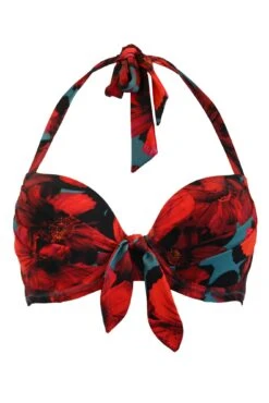 Orchid Luxe Halter Lightly Padded Underwired Top - Red/Teal 14 Orchid Luxe Halter Lightly Padded Underwired Top - Red/Teal -Sultry Curve 298761 20230301114800