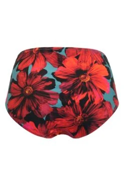 Orchid Luxe High Waisted Control Brief - Red/Teal -Sultry Curve 298991 20221024165700