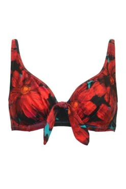 Orchid Luxe Underwired Non Padded Top - Red/Teal -Sultry Curve 298997 20221125162500