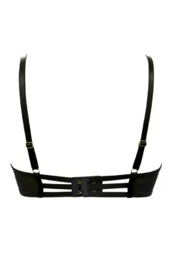 India Bold Embroidery Non-Padded Bra - Black -Sultry Curve 300395 20221109134200