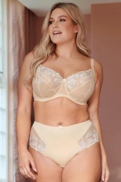 St Tropez High Waist Deep Brief - Oyster -Sultry Curve 300703 20230615162400