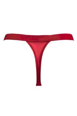 India Embroidery Thong - Red -Sultry Curve 301152 20221128130500