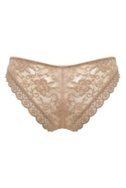 Rebel Brazilian Brief - Almond -Sultry Curve 303218 20221213141100