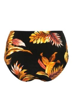 Paradiso Belted High Waisted Control Brief - Black -Sultry Curve 303675 20230606173400