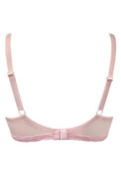 Luxe Linear Lightly Padded Bra - Soft Pink 17 Luxe Linear Lightly Padded Bra - Soft Pink -Sultry Curve 307246 20230215132400