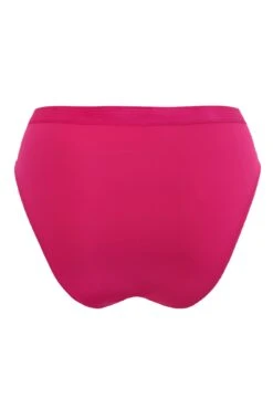 Viva Luxe High Leg Brief - Raspberry -Sultry Curve 308534 20230125114700