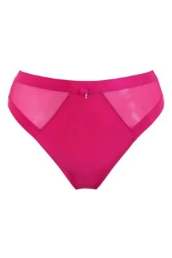 Viva Luxe High Leg Brief - Raspberry -Sultry Curve 308535 20230125114700