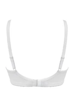 St Tropez Full Cup Bra - White/Pink/Green -Sultry Curve 309909 20230215114300