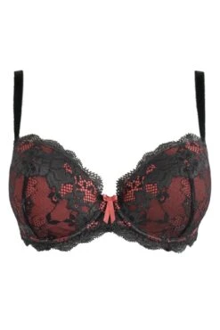 Amour Padded Balconette Set - Slate/Coral 12 Amour Padded Balconette Set - Slate/Coral -Sultry Curve 311095 20230223141200