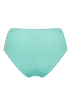 Space High Leg High Waist Control Brief - Mint 11 Space High Leg High Waist Control Brief - Mint -Sultry Curve 311523 20230301155400