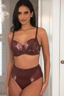 St Tropez High Waist Deep Brief - Chocolate/Red 7 St Tropez High Waist Deep Brief - Chocolate/Red -Sultry Curve 313030 20230329154100