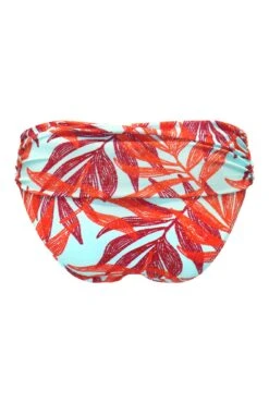 Free Spirit Fold Over Brief. - Aqua Palm -Sultry Curve 314613 20230419160100