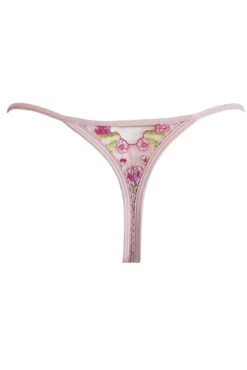 India Embroidery Plunge Suspender Set - Soft Pink 14 India Embroidery Plunge Suspender Set - Soft Pink -Sultry Curve 315830 20230510153100