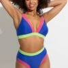 Palm Springs High Leg Tummy Control Brief - Ultramarine/Pink/Citrus 1 Palm Springs High Leg Tummy Control Brief - Ultramarine/Pink/Citrus -Sultry Curve 316167 20230516093400