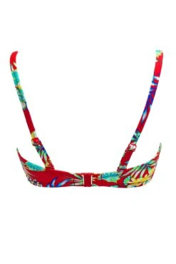 Heatwave Strapless Lightly Padded Top - Red Floral 19 Heatwave Strapless Lightly Padded Top - Red Floral -Sultry Curve 317491 20230814123300