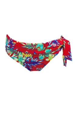 Heatwave Fold Over Tie Brief - Red Floral -Sultry Curve 317743 20230606112800