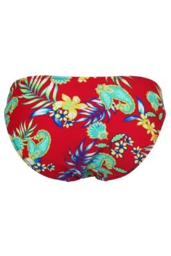 Heatwave Brief - Red Floral 13 Heatwave Brief - Red Floral -Sultry Curve 317834 20230606112800