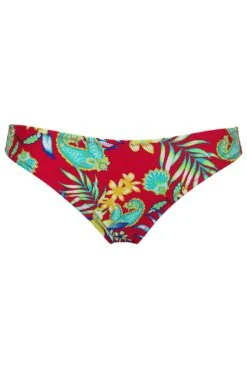 Heatwave Brief - Red Floral 12 Heatwave Brief - Red Floral -Sultry Curve 317835 20230606112800