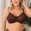 Flora Underwired Bra - Chocolate -Sultry Curve 318081 20230608164400