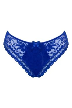 Rebel High Leg Brief - Cobalt -Sultry Curve 319224 20230904094300