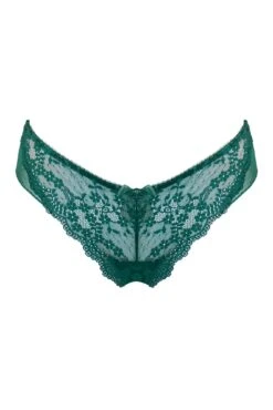 Flora Brazilian Brief - Forest 12 Flora Brazilian Brief - Forest -Sultry Curve 319718 20230904094500
