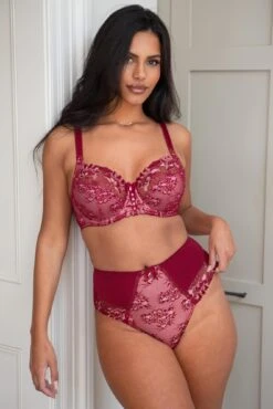 Best Seller 15 Sofia Emb Lace Embroidered Deep Brief - Red