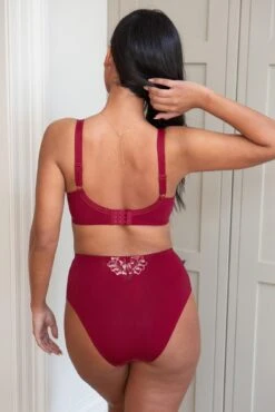 Sofia Emb Lace Embroidered Deep Brief - Red 9 Sofia Emb Lace Embroidered Deep Brief - Red -Sultry Curve 320708 20230822145700