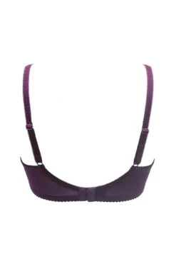 St Tropez Padded Balcony Bra - Purple/Blue 15 St Tropez Padded Balcony Bra - Purple/Blue -Sultry Curve 321697 20230904095300